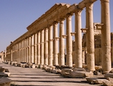 Palmyra