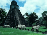 tikal